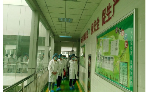 值公司成立十周年慶典，公司贊助萬(wàn)名老人免費(fèi)游寧夏系列活動(dòng)